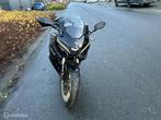 TRMOTOR Gp1, Bedrijf, Sport, TRMOTOR