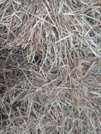 Kruidenhooi, Ophalen of Verzenden, Vee