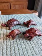 Schildpadden, Ophalen of Verzenden, Zo goed als nieuw, Dier