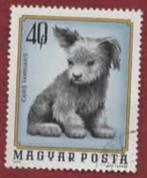 Fauna - Dieren - Honden - Hongarije - 40 - f (jr.'74) - gebr, Ophalen of Verzenden, Gestempeld, Dier of Natuur