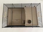 Hamsterkooi/knaagkooi, Minder dan 60 cm, Kooi, Minder dan 75 cm, Ophalen of Verzenden