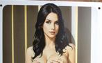 Kunst Sexy Dame in Lingerie Metalen Wandbord, Antiek en Kunst, Kunst | Tekeningen en Foto's, Verzenden