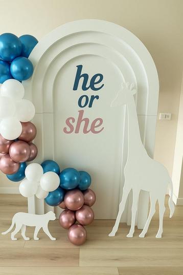 Backdrop / deco gender reveal beschikbaar voor biedingen