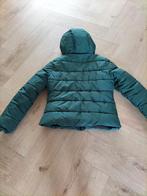 Groen jack van Superdry maat 38, Ophalen of Verzenden, Zo goed als nieuw, Maat 38/40 (M), Groen