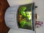 hoekaquarium, Dieren en Toebehoren, Ophalen, Gebruikt, Plant(en), Steen of Hout
