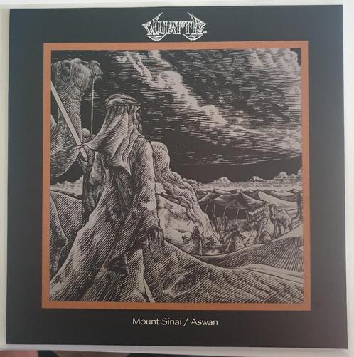 Wyatt E. - Mount Sinai / Aswan, Cd's en Dvd's, Vinyl | Hardrock en Metal, Zo goed als nieuw, Ophalen of Verzenden