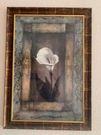 Mooıe schılderıj, Ophalen of Verzenden