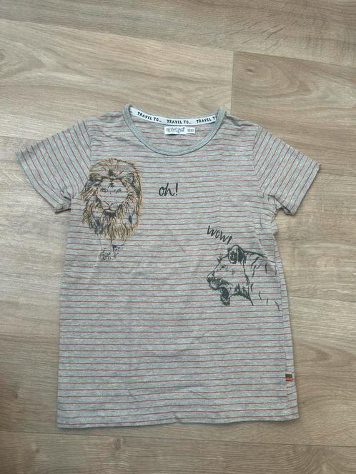 Grijs gestreept shirt - Dirkje - leeuwen - maat 116, Kinderen en Baby's, Kinderkleding | Maat 116, Zo goed als nieuw, Jongen, Shirt of Longsleeve