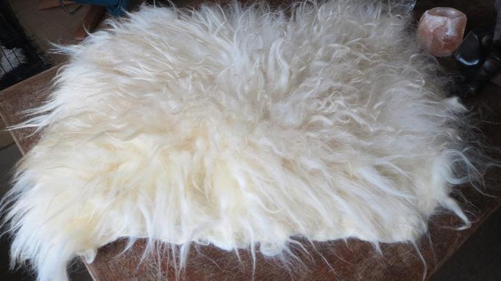 Gevilte vacht Schoonebeeker schaap, 67x55cm, roomkleurig, Huis en Inrichting, Woonaccessoires | Plaids en Woondekens, Nieuw, Ophalen of Verzenden