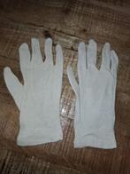 Katoenen Handschoenen per 12 paar - Nieuw, Ophalen of Verzenden, Nieuw