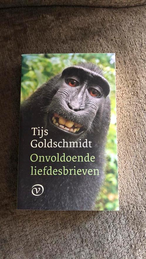 Tijs Goldschmidt - Onvoldoende liefdesbrieven, Boeken, Overige Boeken, Zo goed als nieuw, Ophalen of Verzenden