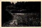 Tussen Oostvoorne en Rockanje - Vijver bij Olaertsduijn, Verzenden, 1940 tot 1960, Gelopen, Zuid-Holland