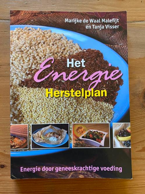T. Visser - Het Energie Herstelplan, Boeken, Kookboeken, Gelezen, Overige gebieden, Ophalen of Verzenden