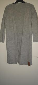 Moscow vest S, Kleding | Dames, Ophalen of Verzenden, Gedragen, Grijs