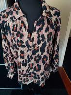 Mooie blouse, Ophalen of Verzenden, Zo goed als nieuw, Overige kleuren