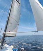 Spinnakerboom spi spinnaker spinaker boom spiboom- 285 CM, Watersport en Boten, Zeilen en Zeiltoebehoren, Ophalen, Gebruikt, Toebehoren