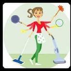 Gezocht: hulp in de huishouding (Hengelo zuid), Diensten en Vakmensen, Huishoudelijke hulp, Schoonmaken