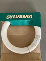 Sylvania Circline TL buis, Ringvorm TL licht, Nieuw