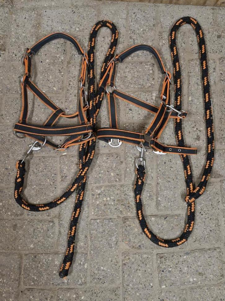 Halster shet zwart-oranje, Dieren en Toebehoren, Paarden en Pony's | Hoofdstellen en Tuigage, Zo goed als nieuw, Overige soorten