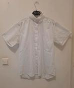 Harry's Horse wedstrijd shirt blouse met kraagje maat 40, Ophalen of Verzenden