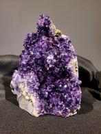Amethist Cluster, 5,7 kg, 340,- euro, AAA kwaliteit, Ophalen, Mineraal