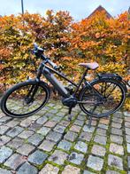 Speed pedelec cityzen Speed 380, Fietsen en Brommers, Elektrische fietsen, Ophalen of Verzenden, Zo goed als nieuw, 50 km per accu of meer