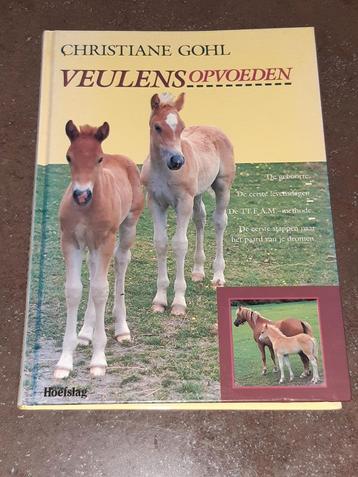 Veulens opvoeden / paard Christiane Gohl beschikbaar voor biedingen