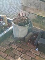 Zinken emmer, Tuin en Terras, Ophalen, Rond, Metaal, 30 tot 60 cm