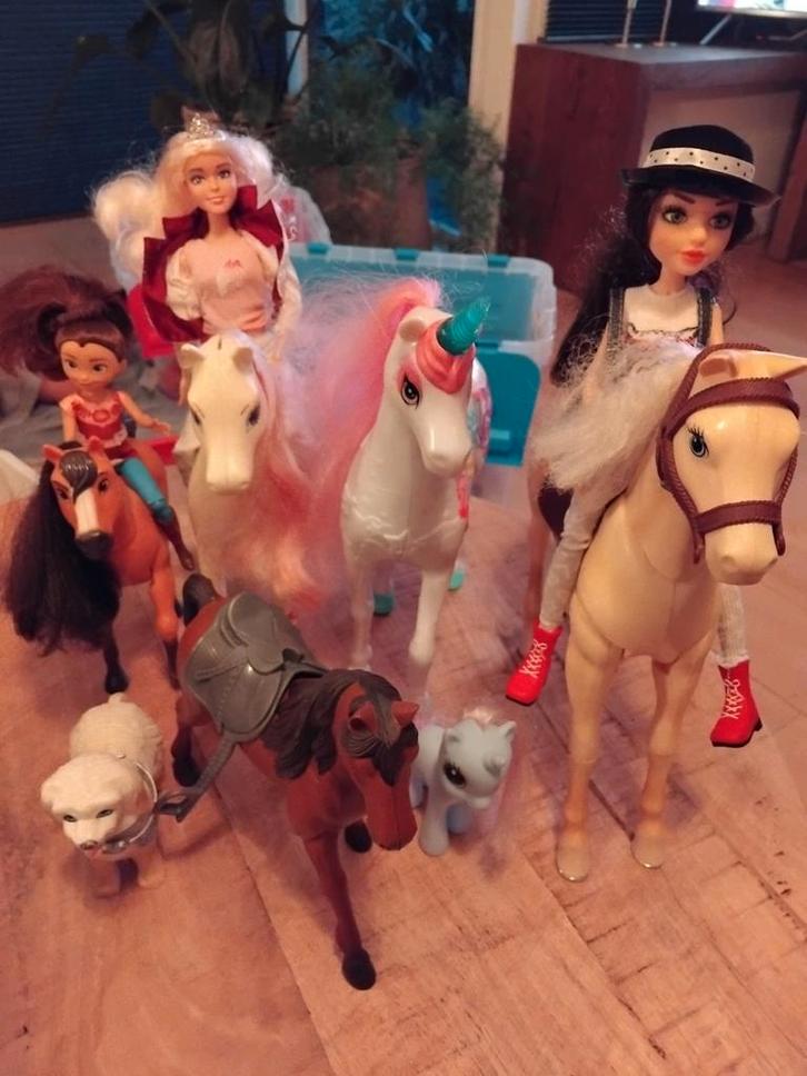 Barbie Camper met Auto & Paarden, Kinderen en Baby's, Speelgoed | Poppen, Zo goed als nieuw, Barbie, Ophalen