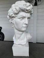 David Borstbeeld Wit 28cm, Ophalen