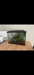 Super fisch, start 70 tropical kit, Dieren en Toebehoren, Vissen | Aquaria en Toebehoren, Nieuw, Ophalen, Leeg aquarium