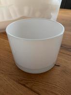 Leuke glazen decoratiepotjes in verschillende maten, Ophalen of Verzenden, Nieuw