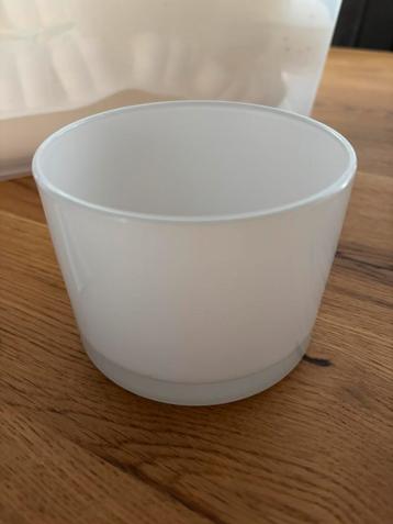 Leuke glazen decoratiepotjes in verschillende maten beschikbaar voor biedingen