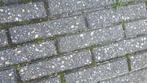 8 m2 gebruikte betonklinkers, Tuin en Terras, Tegels en Klinkers, Ophalen, Gebruikt, Klinkers, 5 tot 10 m²