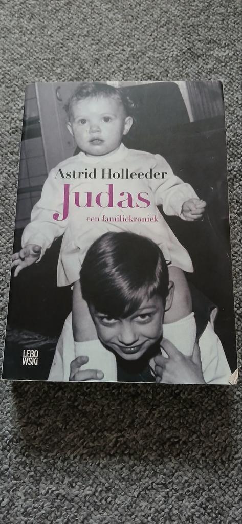 Astrid Holleeder - Judas, Boeken, Detectives, Zo goed als nieuw, Ophalen of Verzenden