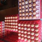 Eieren scharreleieren kippen eitjes, Ophalen of Verzenden