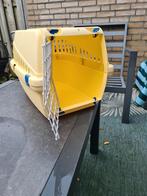 Kleine bens voor kitten of kat, Dieren en Toebehoren, Ophalen