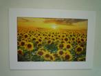 Veld met zonnenbloemen bloemen, Verzenden, Natuur