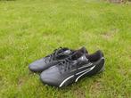 Nieuwe Voetbalschoen Puma Vitoria (kunst-)gras, maat 43, Ophalen, Nieuw, Schoenen