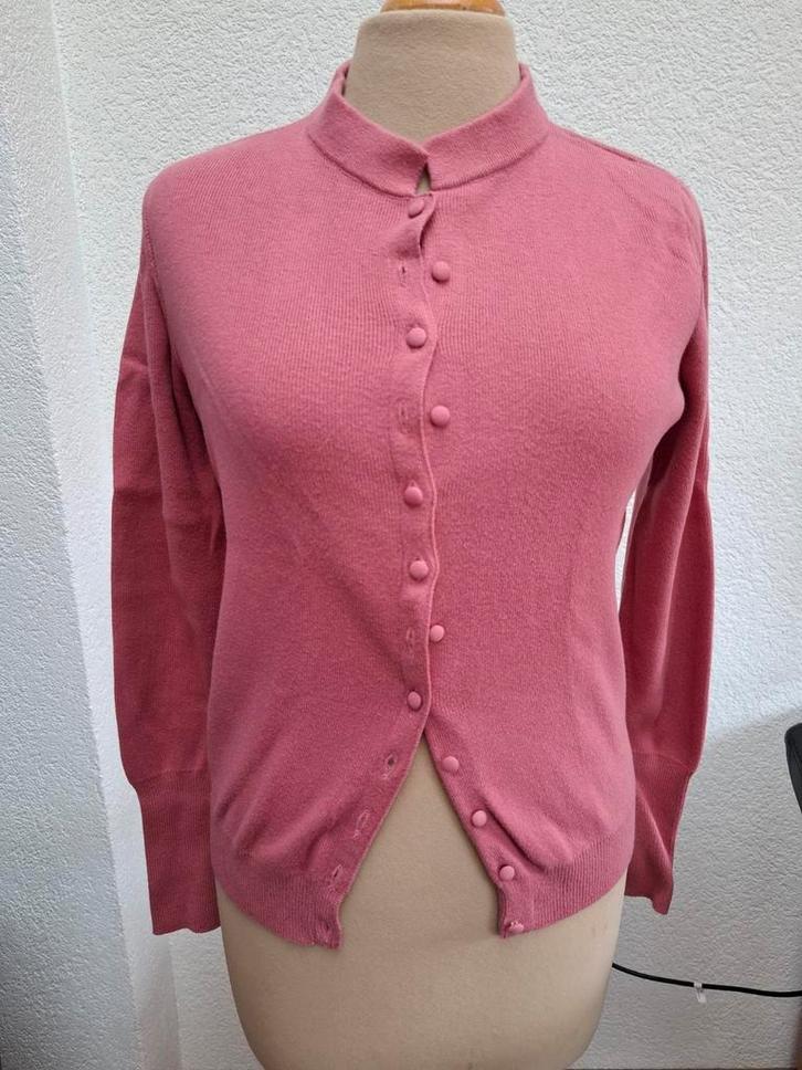 Twinset, Purdey,  mt. S (nieuw), Kleding | Dames, Truien en Vesten, Nieuw, Maat 36 (S), Roze, Ophalen of Verzenden