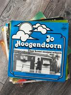 Jo Hoogendoorn, Cd's en Dvd's, Vinyl | Nederlandstalig, Ophalen of Verzenden, Zo goed als nieuw, Overige formaten, Levenslied of Smartlap