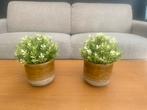 Bloempotten, Huis en Inrichting, Ophalen, Zo goed als nieuw