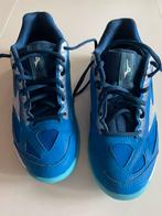 Korfbal schoenen Mizuno maat 40 binnen, Sport en Fitness, Korfbal, Ophalen, Gebruikt, Schoenen