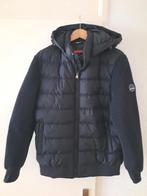 PAUL &SHARK  - XL, Kleding | Heren, Overige kleuren, Verzenden, Maat 56/58 (XL), Zo goed als nieuw