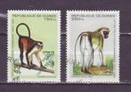 Guinee Dieren Apen, Verzenden, Guinee