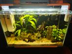 Superfish Home 110 Wit incl. Visbestand., Dieren en Toebehoren, Vissen | Aquaria en Toebehoren, Ophalen, Zo goed als nieuw, Gevuld zoetwateraquarium