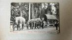 Sri Lanka Olifanten trekken thee boiler naar fabriek, Ophalen of Verzenden, Voor 1920, Gelopen, Buiten Europa