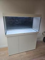Juwel Rio 350 - Aquarium incl. toebehoren, Ophalen, Zo goed als nieuw, Leeg aquarium