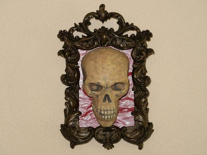 schedeltje in unieke ornamentale lijst, luxe Gothic wanddeco, Huis en Inrichting, Woonaccessoires | Wanddecoraties, Nieuw, Ophalen of Verzenden