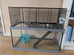 Hamster kooi, Dieren en Toebehoren, Minder dan 60 cm, Kooi, Minder dan 75 cm, Ophalen of Verzenden